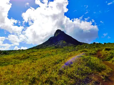 Le Pouce mountain In Mauritius image